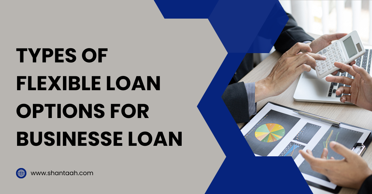 shnatah business consulting